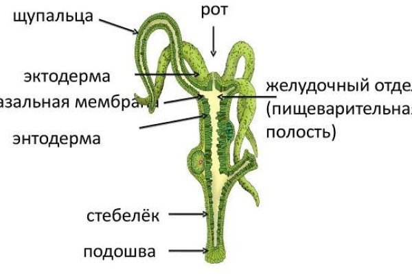 Кракен сайт магазин kraken clear com