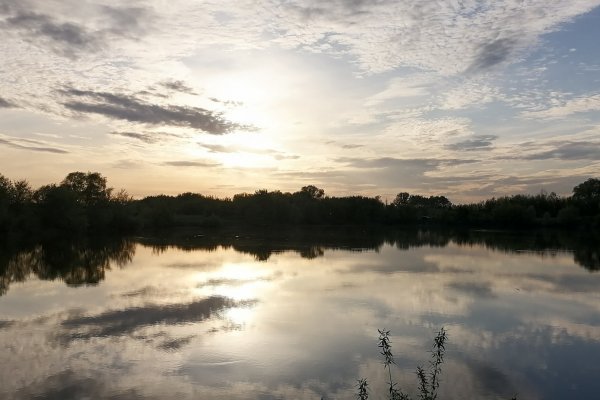 Кракен наркошоп